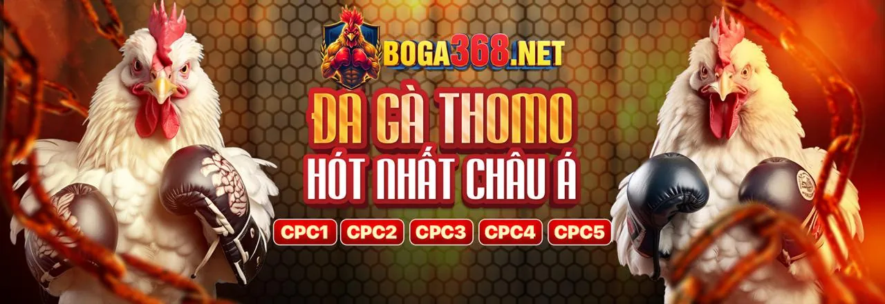 Hỗ trợ khách hàng 777king99 tải app